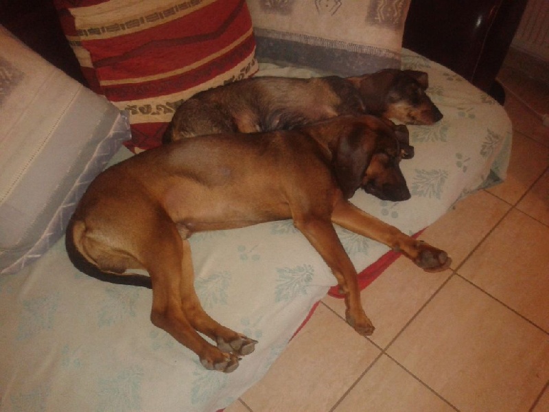 Le repos du guerrier